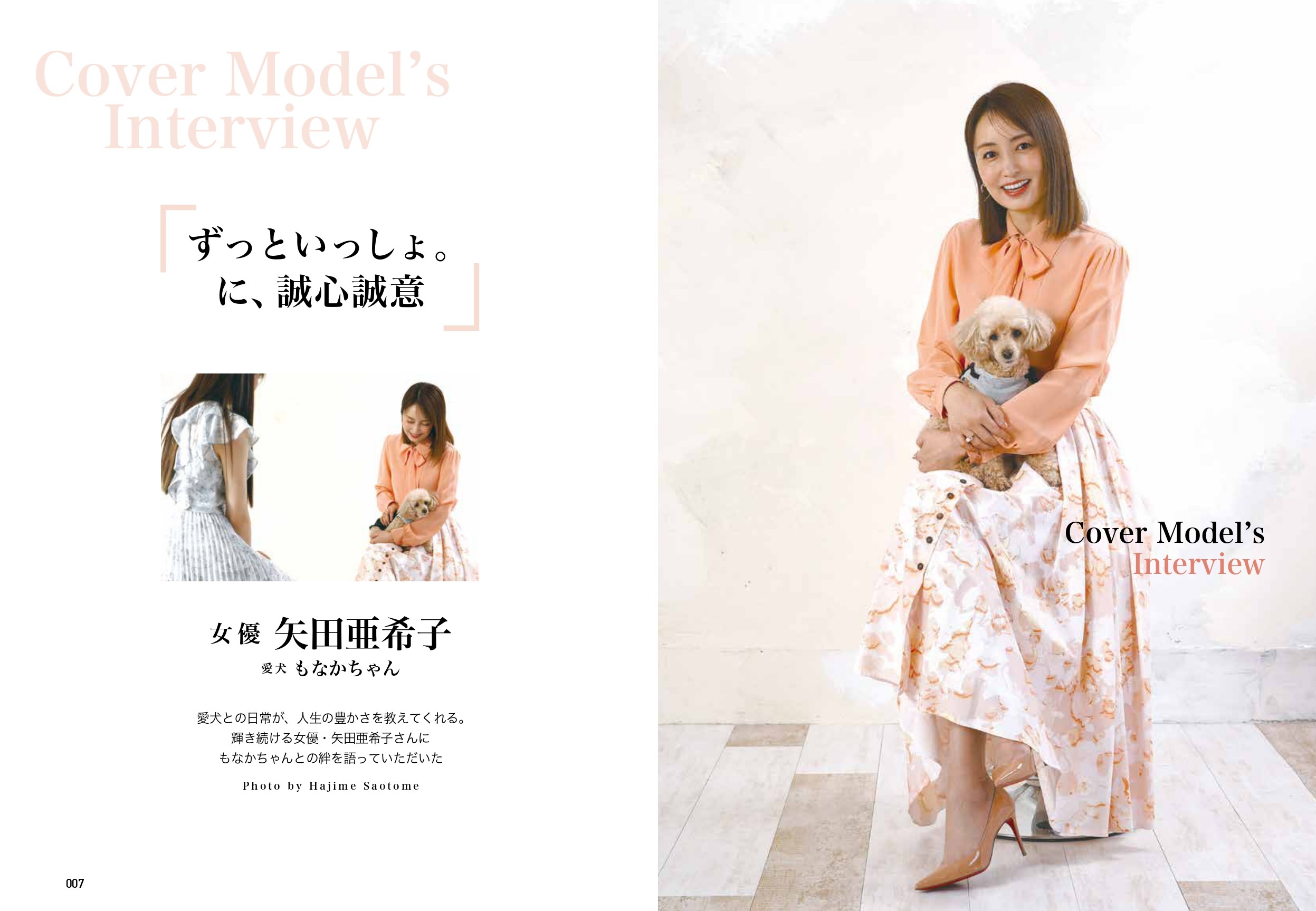 chico定期購読の画像