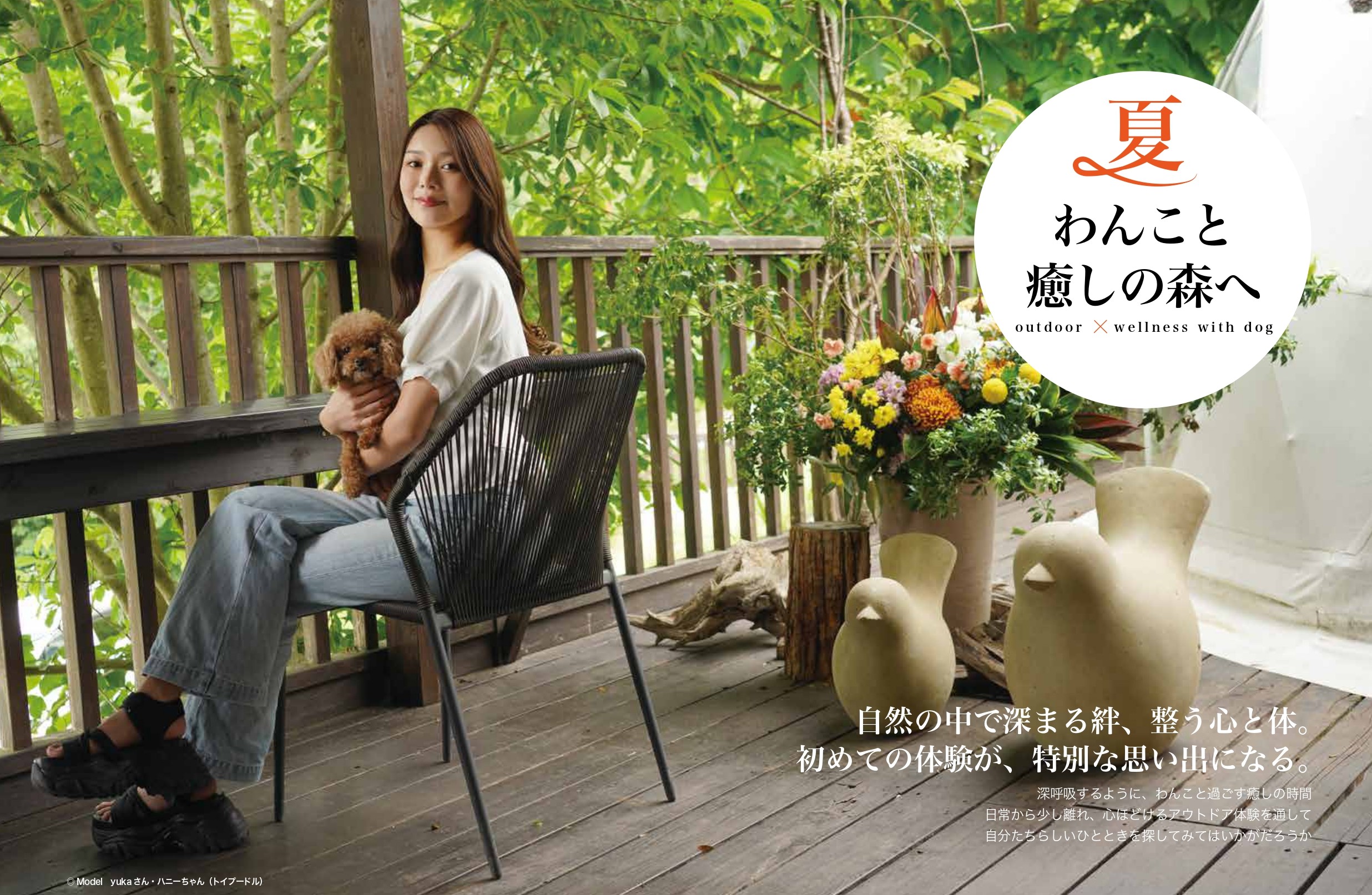 chico定期購読の画像
