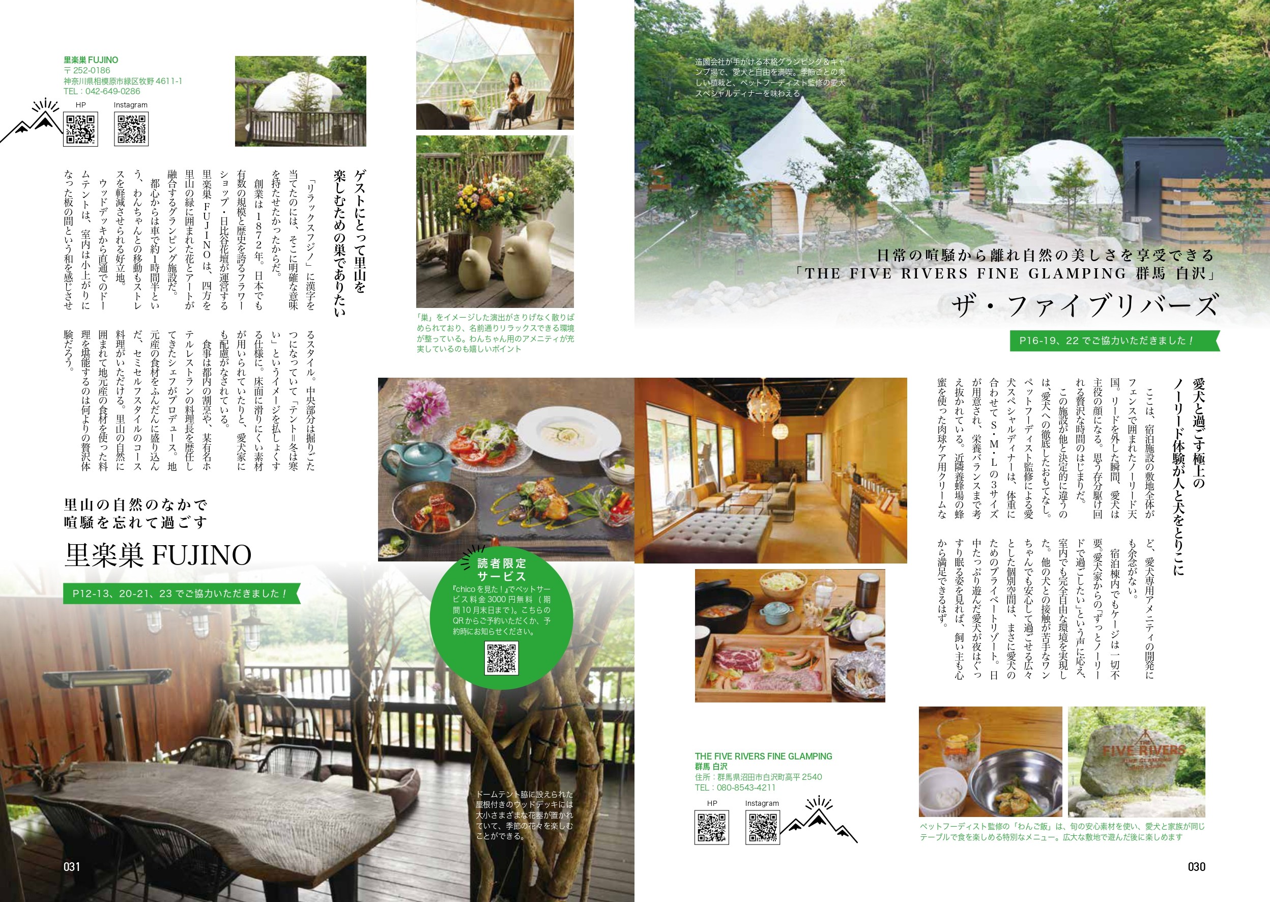 chico定期購読の画像