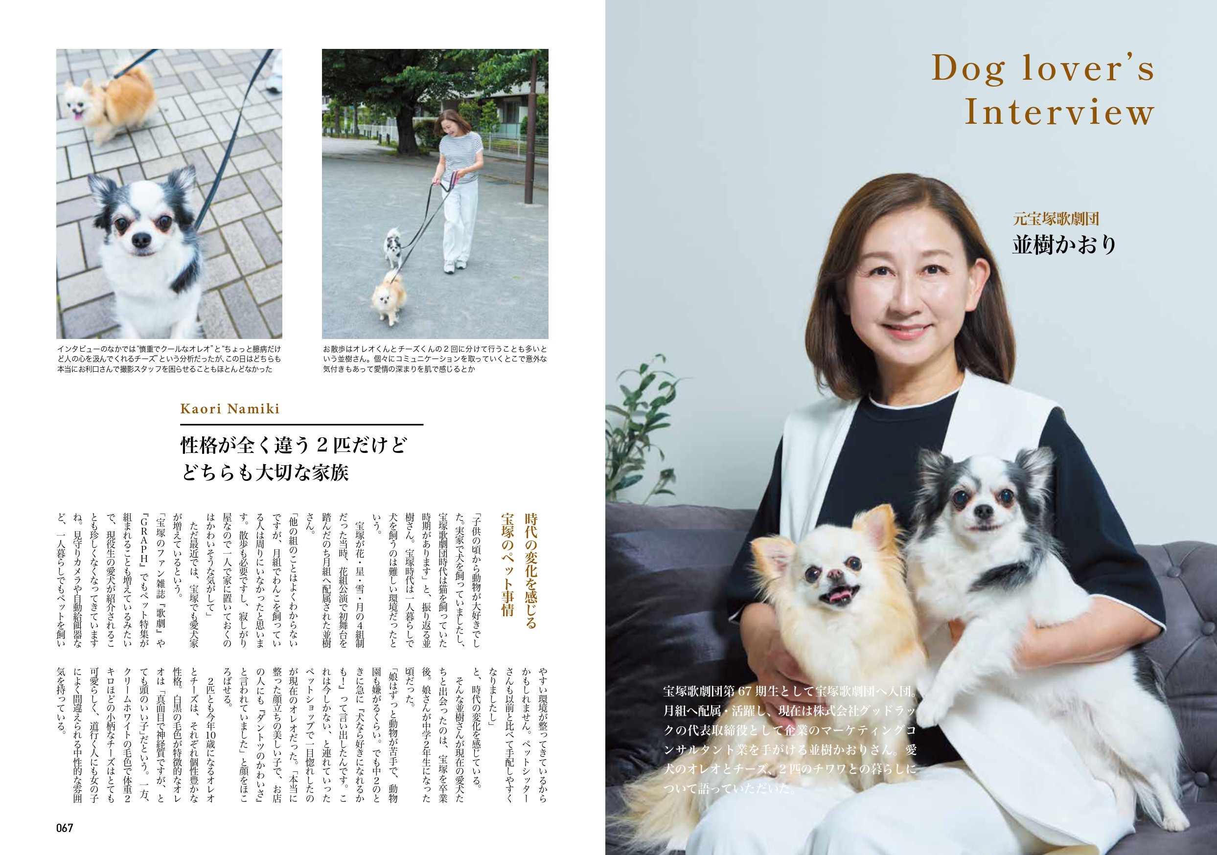 chico定期購読の画像