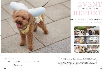 chico定期購読の画像