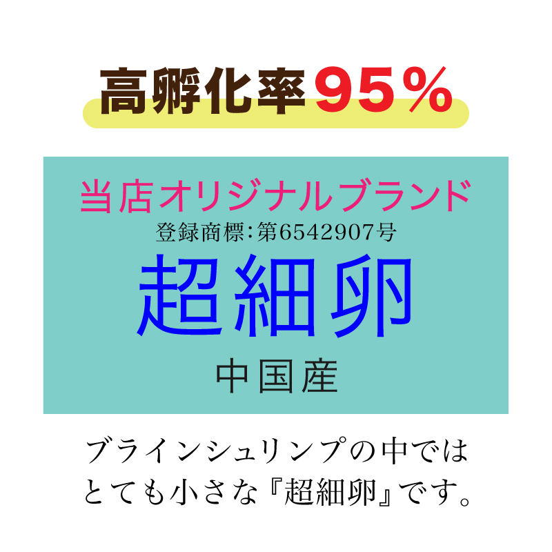 ブラインシュリンプエッグ ５００ｇ ２４袋セット 超細卵 チョウサイラン 孵化率９５% 中国産の画像