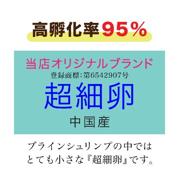 ブラインシュリンプエッグ ５００ｇ ２４袋セット 超細卵 チョウサイラン 孵化率９５% 中国産の画像