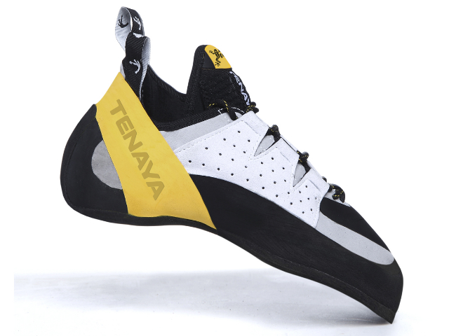 テナヤ　タリファの画像