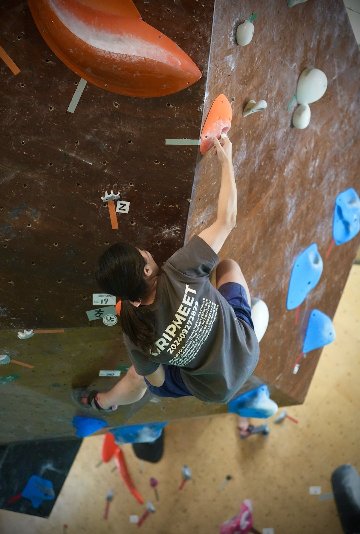 グリップミートリミティッドT 2024 versionの画像