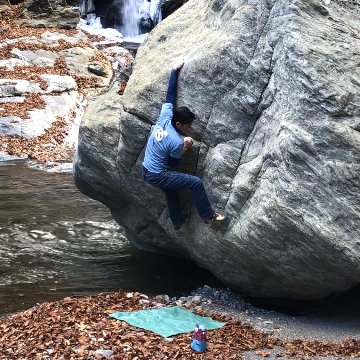 青楓社　カザハナ　スラップシートの画像