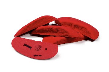 Pusher Granite Screw-Ons Set8の画像