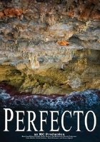 PERFECTOの画像