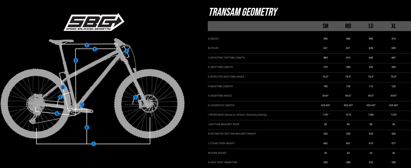 Transition / TRANSAM AM /  Chrome / Sサイズ / トランジション / FRAMESET / フレームセット の画像