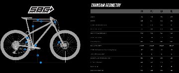 Transition / TRANSAM AM /  Chrome / Sサイズ / トランジション / FRAMESET / フレームセット の画像