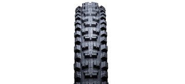 IRC / TANKEN GEKKOTA  / TUBELESS READY / ラストカラーの画像