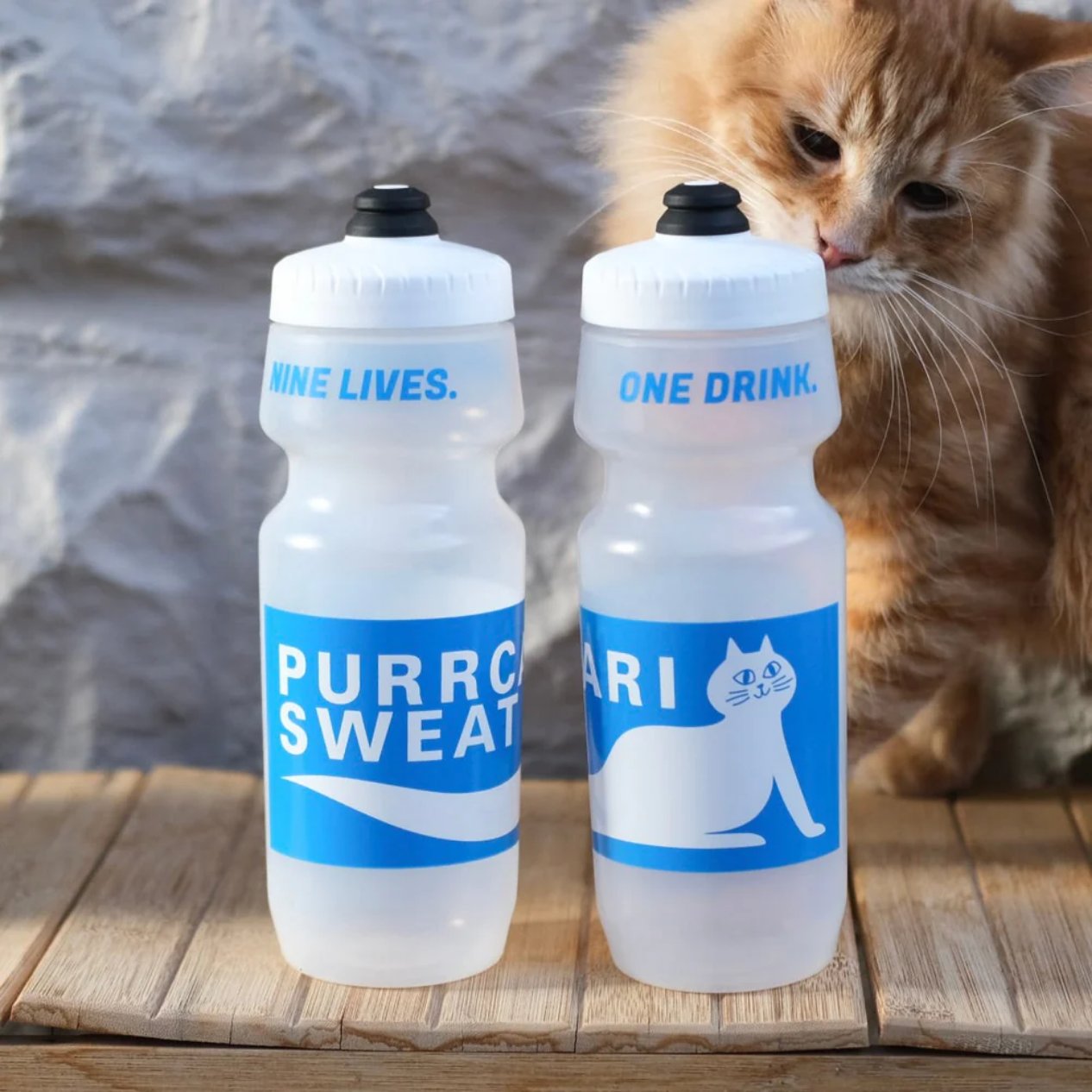 SIMWORKS / MOLLY SUGAR Purrcari Sweat Bottle / 24oz / ボトルの画像