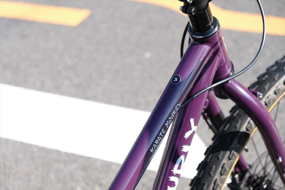 オリジナル完成車 / SURLY / KARATE MONKEY / Organic Eggplant / SMサイズの画像