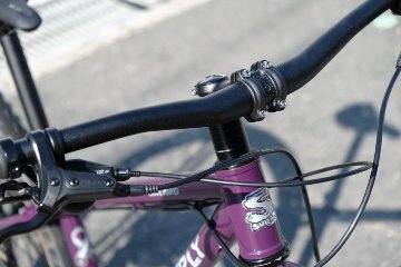 オリジナル完成車 / SURLY / KARATE MONKEY / Organic Eggplant / SMサイズの画像