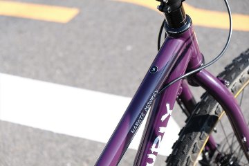 オリジナル完成車 / SURLY / KARATE MONKEY / Organic Eggplant / SMサイズの画像