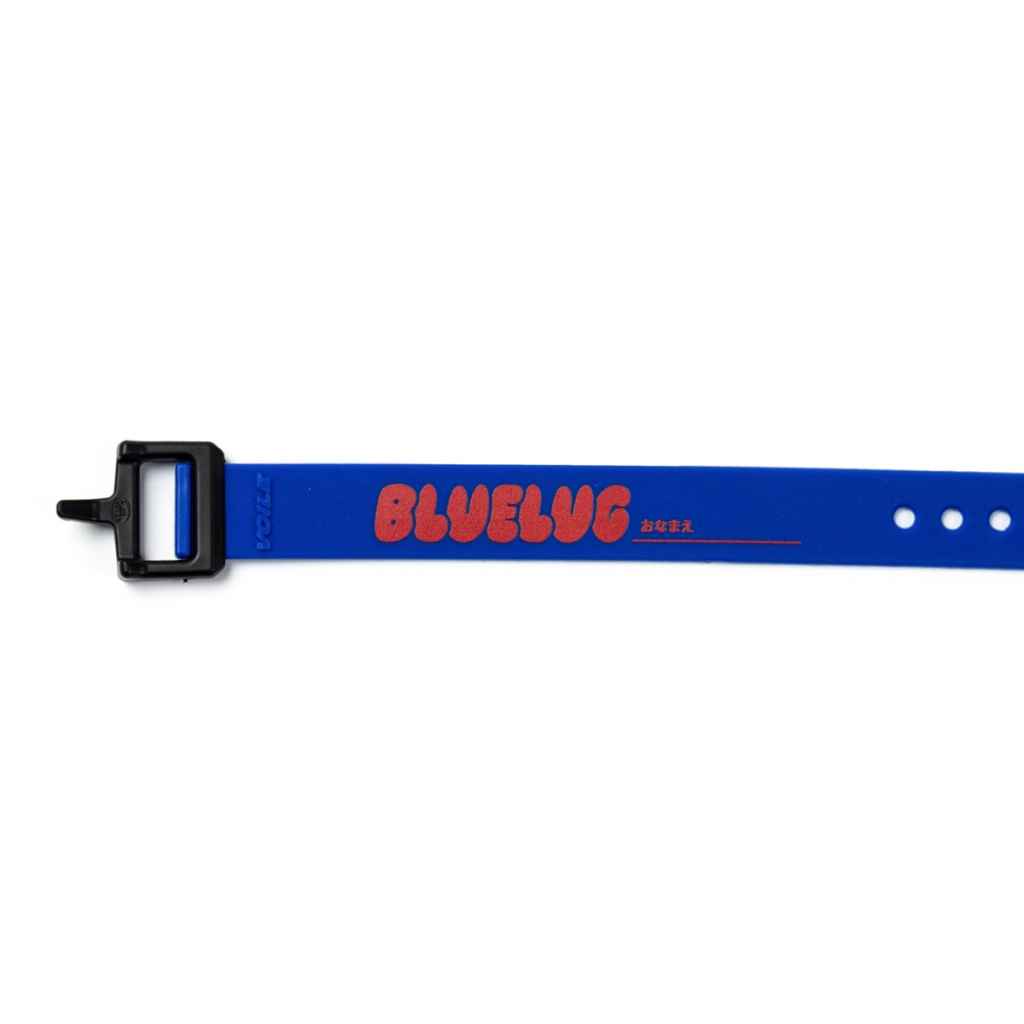Voile / nylon buckle strap / BL special / 15inch / (blue/red) / ボレーストラップ の画像