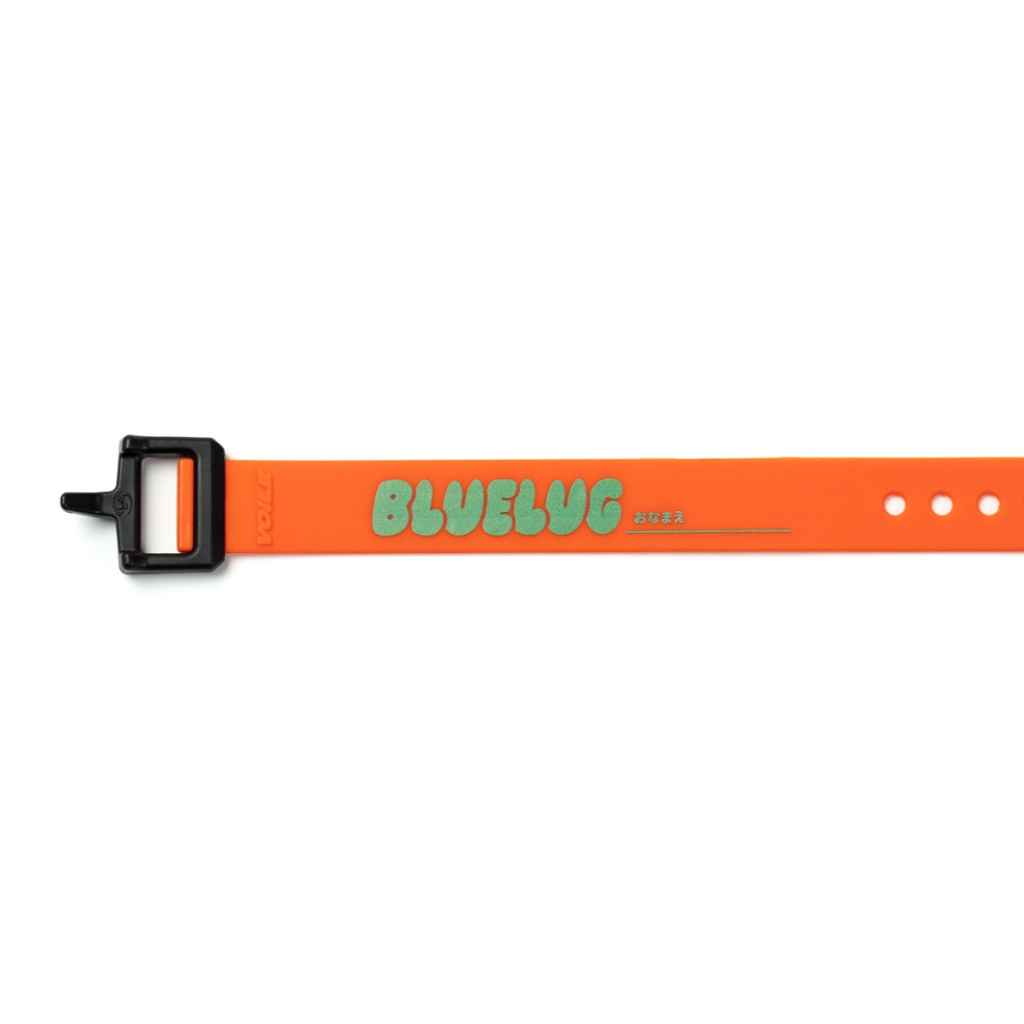 Voile / nylon buckle strap / BL special / 15inch / (orange/green) / ボレーストラップ の画像