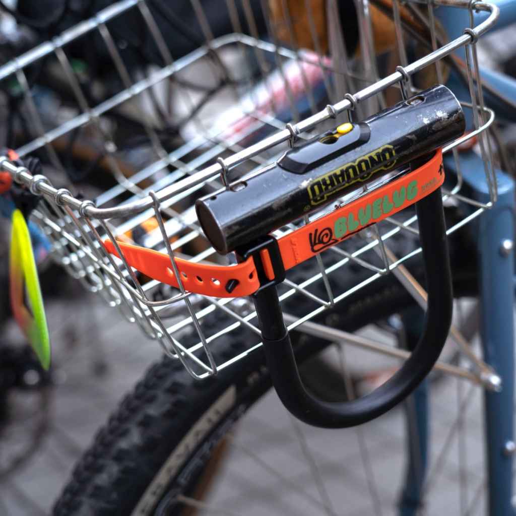 Voile / nylon buckle strap / BL special / 15inch / (red/blue) / ボレーストラップ の画像