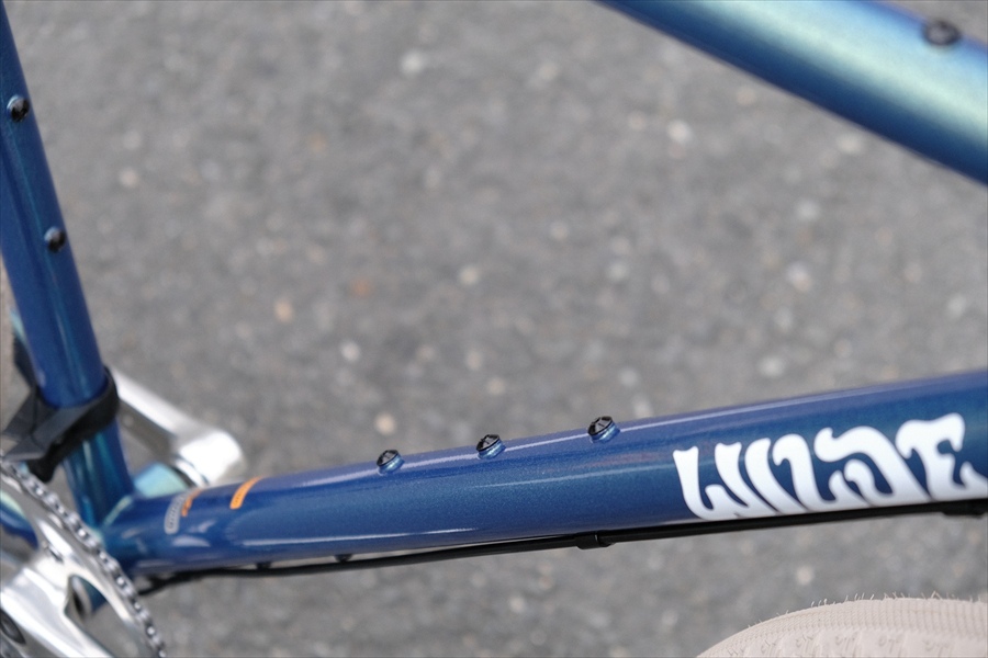 WILDE BICYCLE / Rambler / オリジナル完成車 / Sサイズの画像