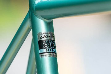 ALL CITY / SPACE HORSE TIAGRA / MINT / 52 / 完成車の画像