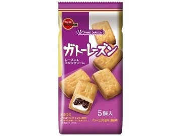 ブルボン ガトーレーズン ５個   ×10 【送料込】(一部地域別途)の画像