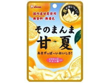ライオン そのまんま甘夏 ２５ｇ ×72 【送料込】(一部地域別途)の画像