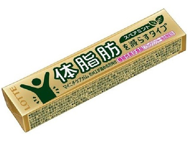ロッテ マイニチケアガム体脂肪を減らす １４粒 ×320 【送料込】(一部地域別途)の画像