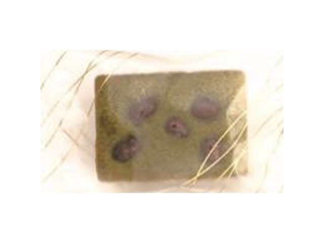 ★名月製菓 ケーク 抹茶１個×10入り 【全国送料無料】(一部地域別途)の画像