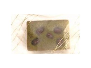 ★名月製菓 ケーク 抹茶１個×10入り 【全国送料無料】(一部地域別途)の画像
