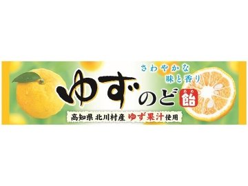 ライオン ゆずのど飴 １０粒 ×120 【送料込】(一部地域別途)の画像