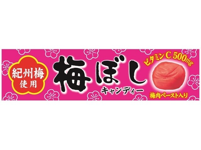ライオン 梅ぼしキャンディー １０粒 ×120 【送料込】(一部地域別途)の画像