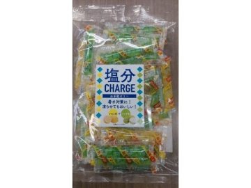 坂製菓 塩分チャージレモン＆ライチ ５００ｇ ×15 【送料込】(一部地域別途)の画像