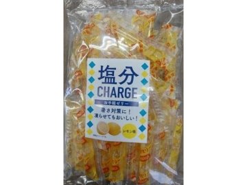 坂製菓 塩分チャージレモン ５００ｇ×15入り 【全国送料無料】(一部地域別途)の画像