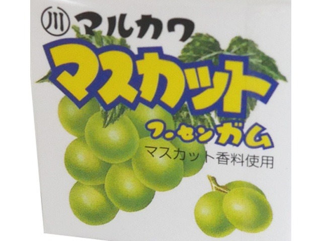 丸川製菓 マスカットフーセンガム×480入り 【全国送料無料】(一部地域別途)の画像