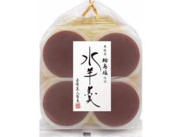 金澤兼六 輪島塩水羊羹 ４個 ×12 【送料込】(一部地域別途)の画像