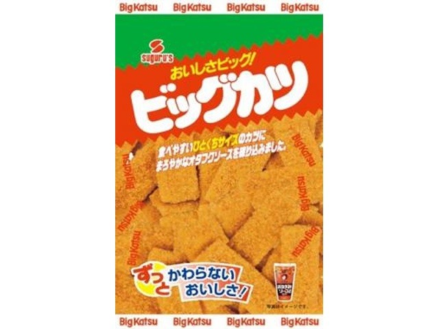 すぐる ビッグカツひとくちタイプ１０５ｇ ×10入り 【全国送料無料】(一部地域別途)の画像