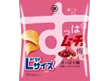 湖池屋 Ｌサイズ すっぱムーチョさっぱり梅１０５ｇ ×12入り 【全国送料無料】(一部地域別途)の画像