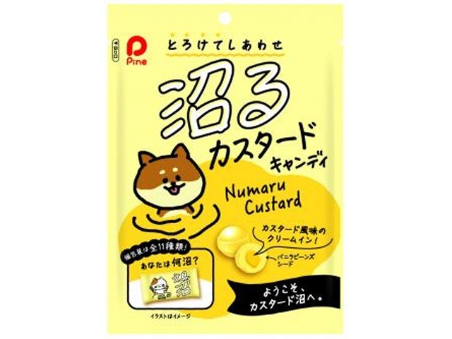 パイン 沼るカスタード ６０ｇ ×48入り 【全国送料無料】(一部地域別途)の画像