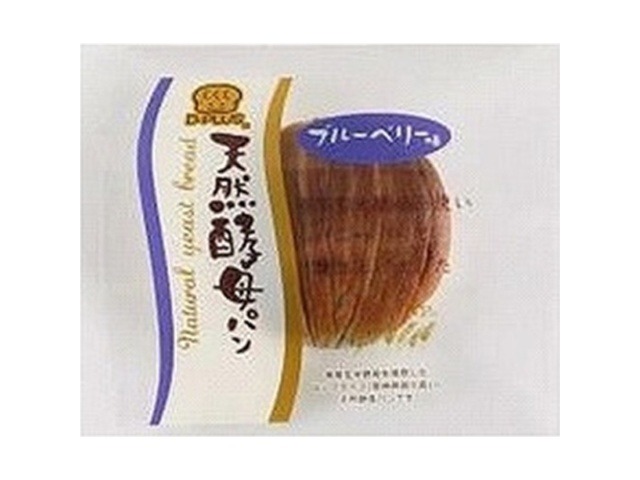 デイプラス 天然酵母パン ブルーベリー味  ×12入り 【全国送料無料】(一部地域別途)の画像