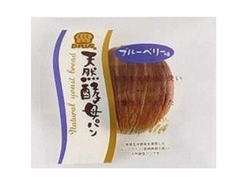 デイプラス 天然酵母パン ブルーベリー味  ×12入り 【全国送料無料】(一部地域別途)の画像