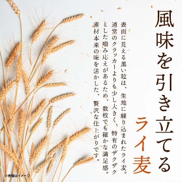 トリュフクラッカー トリュフ風味 サクサク食感 スナック菓子 おつまみ 18袋入り×4箱  【全国送料無料】(一部地域別途)の画像