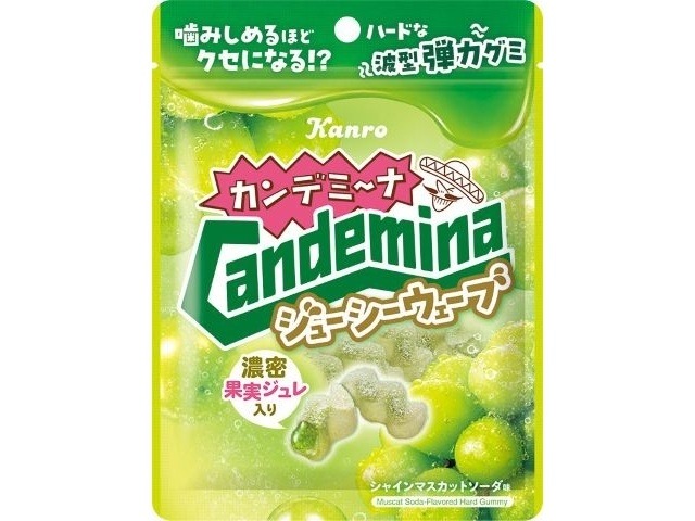 カンロ カンデミ−ナグミ ジュ−シ−ウェーブ６６ｇ ×6入り 【全国送料無料】(一部地域別途)の画像