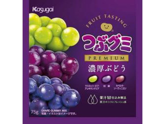 春日井製菓 つぶグミＰＲＥＭＩＵＭ濃厚ぶどう７５ｇ×10入り 【全国送料無料】(一部地域別途)の画像