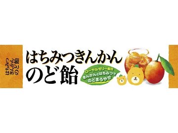 ノーベル はちみつきんかんのど飴スティック １０粒 ×10 【送料込】(一部地域別途)の画像