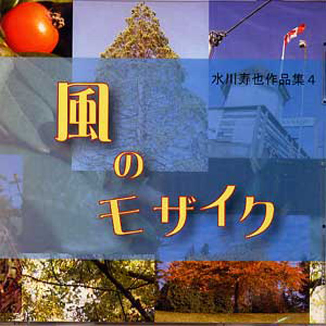 (CD) 風のモザイク　水川寿也画像