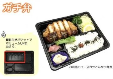 CTガチ弁 26-20C　本体(50枚入)の画像