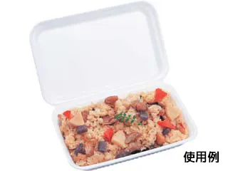 FP-620（50枚入）の画像
