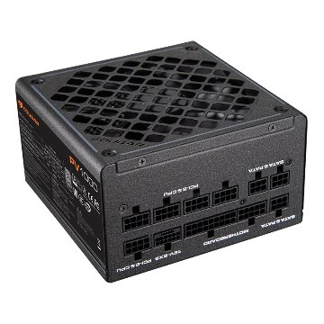 PV 1000の画像
