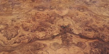 Victorian Inlaid Walnut Canterbury画像