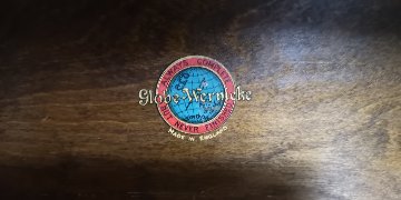 Oak Globe Wernicke Bookcase画像